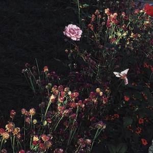 奶好大灬好硬灬好爽在线播放
